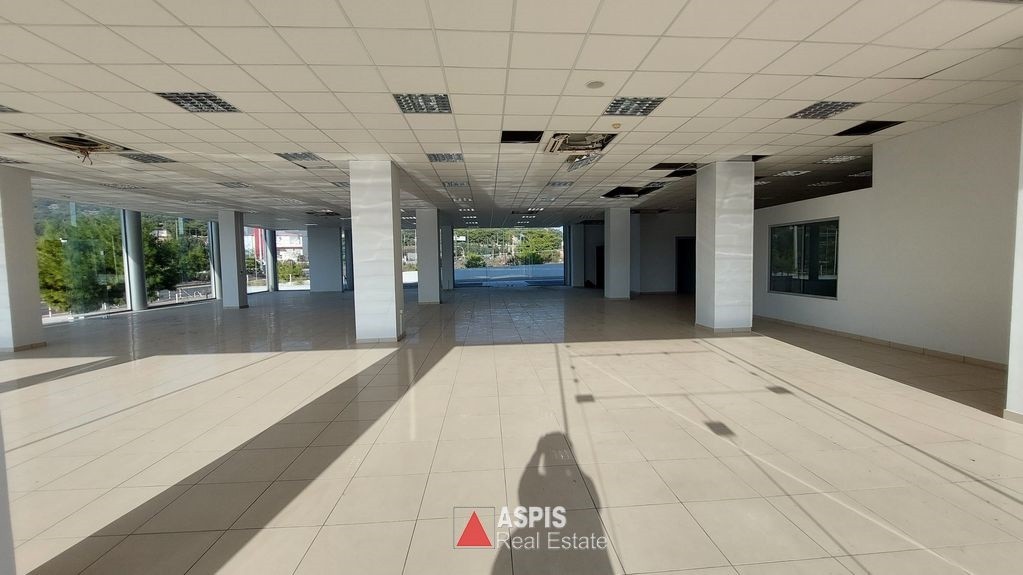 Κατάστημα 1.100 τ.μ. προς ενοικίαση, Κίτσι