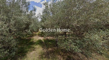 Parcel 4.500 sqm for rent