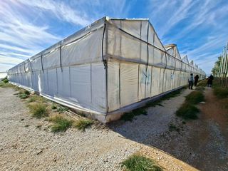 Αγροτεμάχια 4.382 τ.μ. για πώληση, Ν. Λασιθίου, Ιεράπετρα-thumb-20