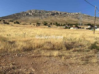 Οικόπεδο 5.713 τ.μ. προς πώληση