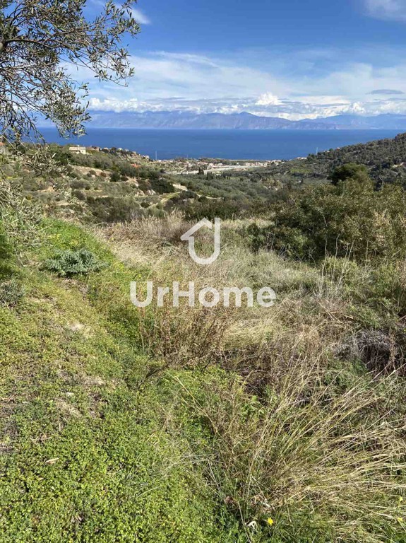 Οικόπεδο 8.075 τ.μ. πρός πώληση, Αχαΐα, Ακράτα