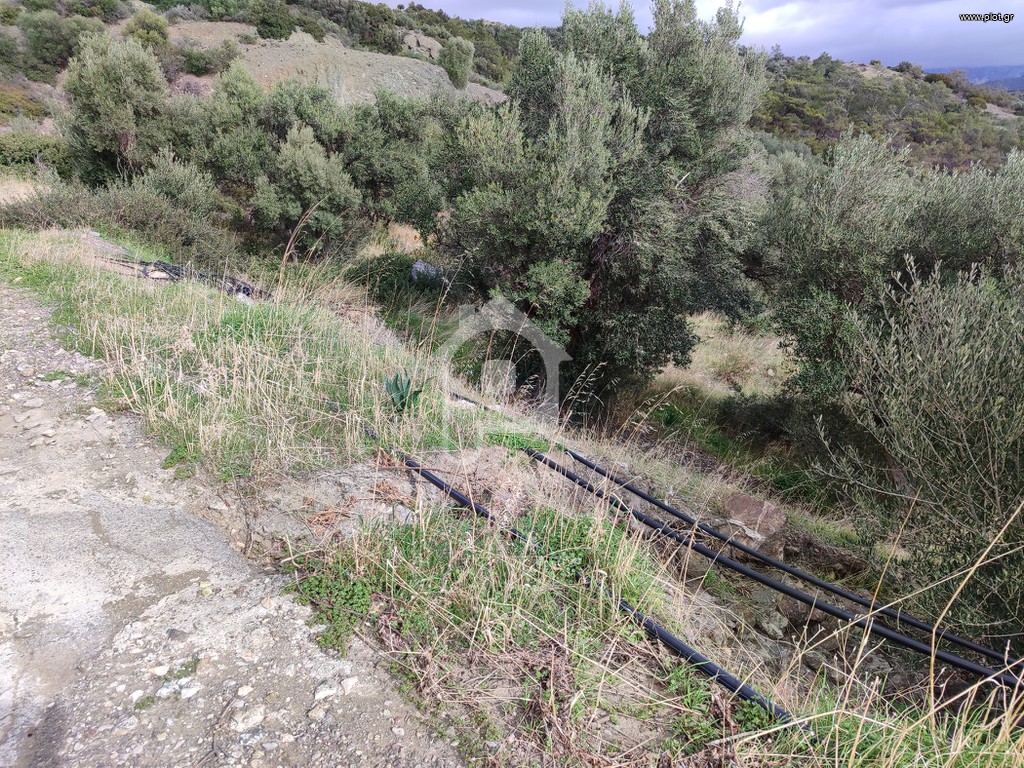 Αγροτεμάχια 5.500 τ.μ. προς πώληση, Άγιος Νικόλαος Βιάννου