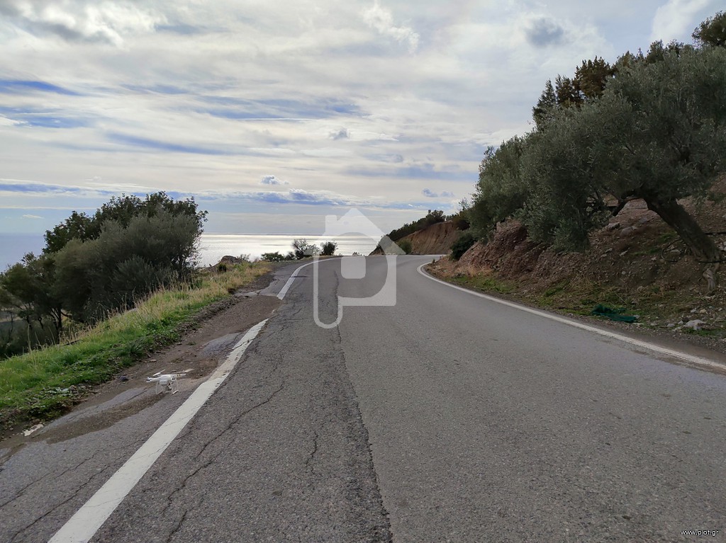 Αγροτεμάχια 5.500 τ.μ. προς πώληση, Άγιος Νικόλαος Βιάννου