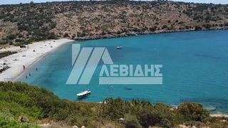 Οικόπεδο 5.300 τ.μ. προς πώληση, Ν. Χίου, Χίος-thumb-3