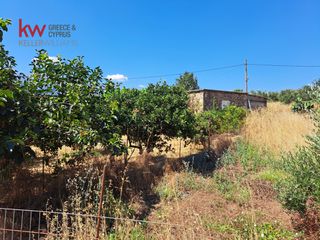Αγροτεμάχια 1.186 τ.μ. για πώληση, Ν. Χανίων, Κεράμια-thumb-10