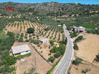 Αγροτεμάχια 1.186 τ.μ. για πώληση