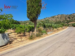 Αγροτεμάχια 1.186 τ.μ. για πώληση, Ν. Χανίων, Κεράμια-thumb-19