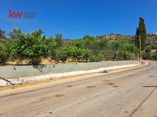 Αγροτεμάχια 1.186 τ.μ. για πώληση, Ν. Χανίων, Κεράμια-thumb-20