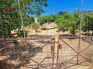 Αγροτεμάχια 1.186 τ.μ. για πώληση, Ν. Χανίων, Κεράμια-thumb-13