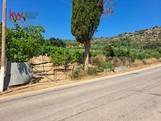 Αγροτεμάχια 1.186 τ.μ. για πώληση, Ν. Χανίων, Κεράμια-thumb-18
