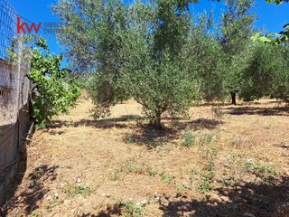 Αγροτεμάχια 1.186 τ.μ. για πώληση, Ν. Χανίων, Κεράμια-thumb-27