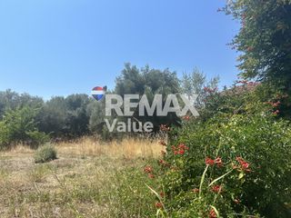 Οικόπεδο 1.128 τ.μ. για πώληση, Ν. Λευκάδας, Λευκάδα-thumb-11