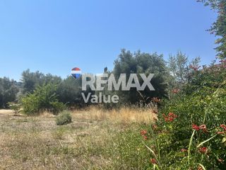 Οικόπεδο 1.128 τ.μ. για πώληση, Ν. Λευκάδας, Λευκάδα-thumb-12