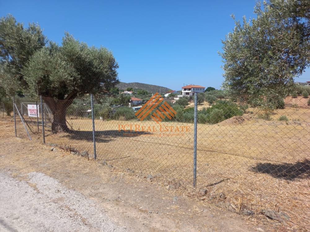 Οικόπεδο 2.700 τ.μ. πρός πώληση, Αθήνα - Ανατολικά Προάστια, Κορωπί
