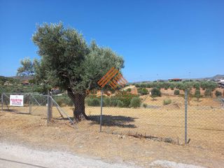 Οικόπεδο 2.700 τ.μ. προς πώληση