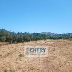 Οικόπεδο 1.850 τ.μ. για πώληση, Ν. Χανίων, Αρμενοί-thumb-2