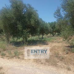 Οικόπεδο 1.850 τ.μ. για πώληση, Ν. Χανίων, Αρμενοί-thumb-4