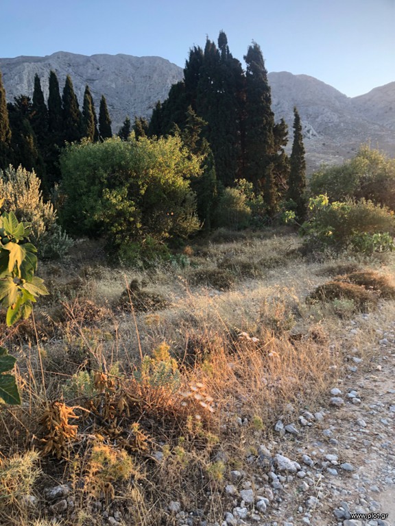 Οικόπεδο 1.071 τ.μ. για πώληση, Δωδεκάνησα, Κάλυμνος