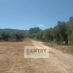 Οικόπεδο 1.850 τ.μ. για πώληση, Ν. Χανίων, Αρμενοί-thumb-3