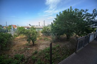 Κατάστημα 600 τ.μ. προς πώληση, Κοκκώνι-thumb-5