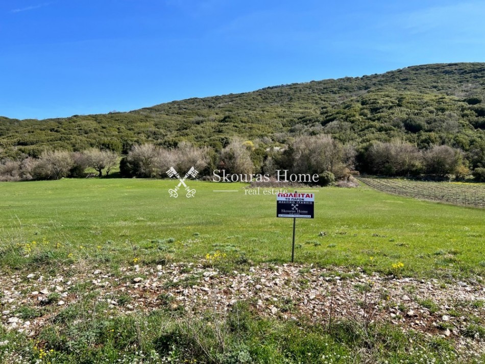Αγροτεμάχια 2.800 τ.μ. πρός πώληση, Ν. Ιωαννίνων, Κεντρικό Ζαγόρι