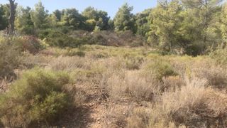Οικόπεδο 660 τ.μ. για πώληση, Αργολίδα, Κρανίδι-thumb-6