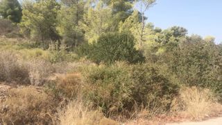 Οικόπεδο 660 τ.μ. για πώληση, Αργολίδα, Κρανίδι-thumb-8