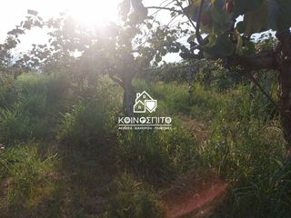 Αγροτεμάχια 4.000 τ.μ. για πώληση, Ημαθία, Ανθεμιά-thumb-4