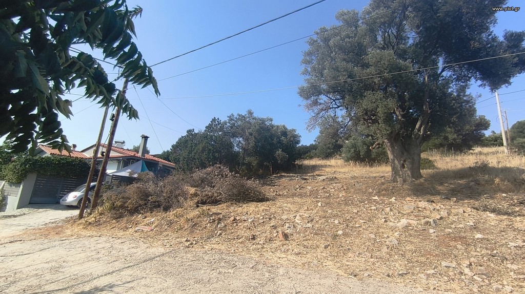Οικόπεδο 244 τ.μ. προς πώληση, Πράσινος Λόφος Αρτέμιδας