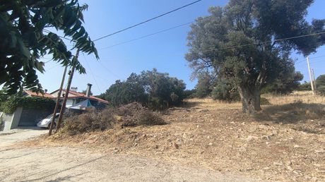Οικόπεδο 244 τ.μ. προς πώληση