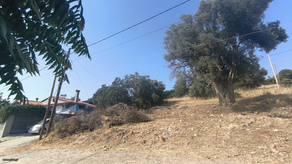 Οικόπεδο 244 τ.μ. προς πώληση, Πράσινος Λόφος Αρτέμιδας