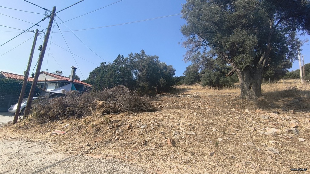 Οικόπεδο 244 τ.μ. προς πώληση, Πράσινος Λόφος Αρτέμιδας