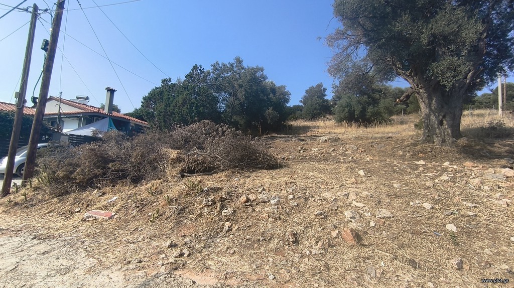 Οικόπεδο 244 τ.μ. προς πώληση, Πράσινος Λόφος Αρτέμιδας