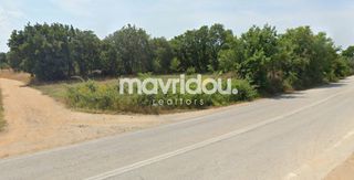 Αγροτεμάχια 1.078,09 τ.μ. για πώληση