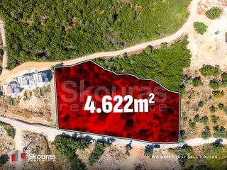 Αγροτεμάχια 4.622,59 τ.μ. για πώληση, Ν. Λευκάδας, Λευκάδα-thumb-4
