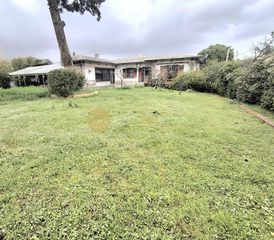 Land plot 1.500 sqm for sale