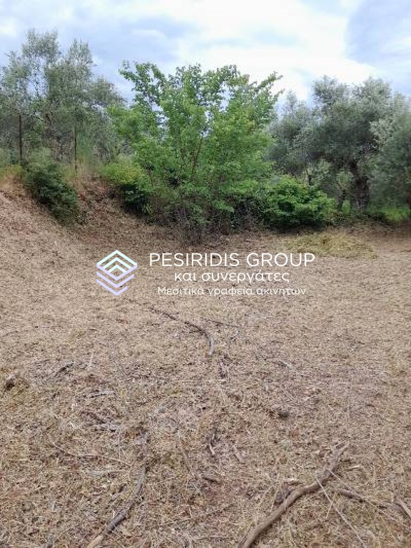 Οικόπεδο 550 τ.μ. προς πώληση, Πιλάλα