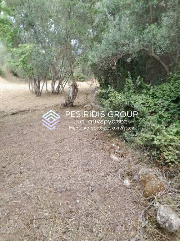 Οικόπεδο 550 τ.μ. προς πώληση, Πιλάλα