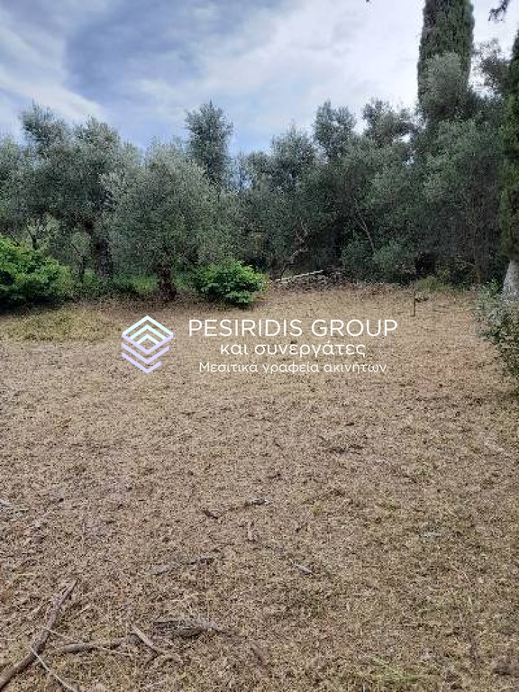 Οικόπεδο 550 τ.μ. προς πώληση, Πιλάλα
