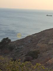 Αγροτεμάχια 3.750 τ.μ. για πώληση
