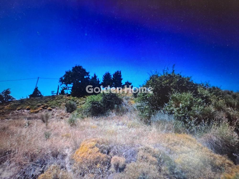 Οικόπεδο 4.955 τ.μ. προς πώληση, Μερτικαίικα