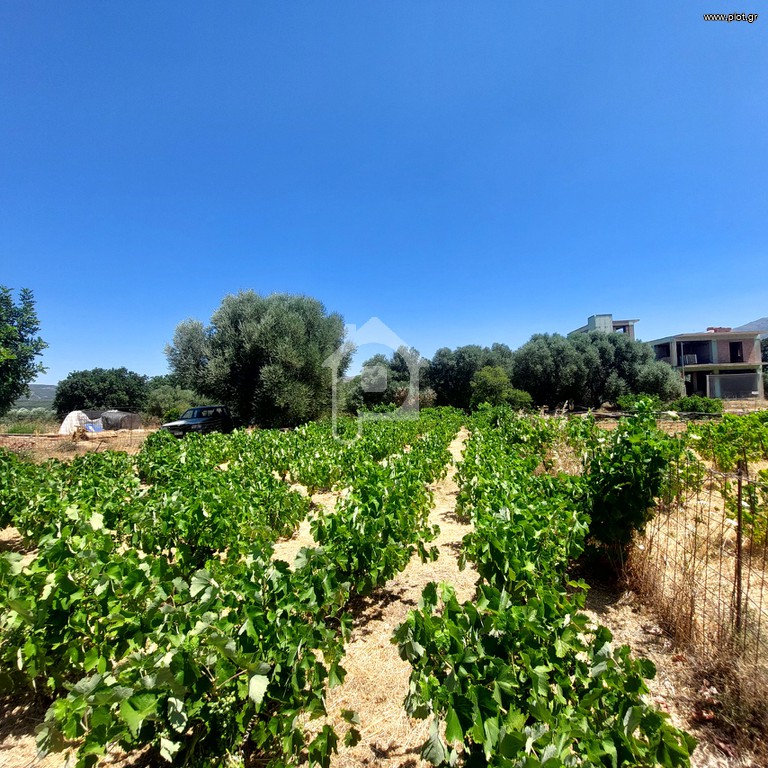 Οικόπεδο 260 τ.μ. προς πώληση, Άγιοι Απόστολοι Καντάνου
