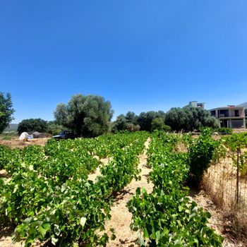 Οικόπεδο 260 τ.μ. προς πώληση