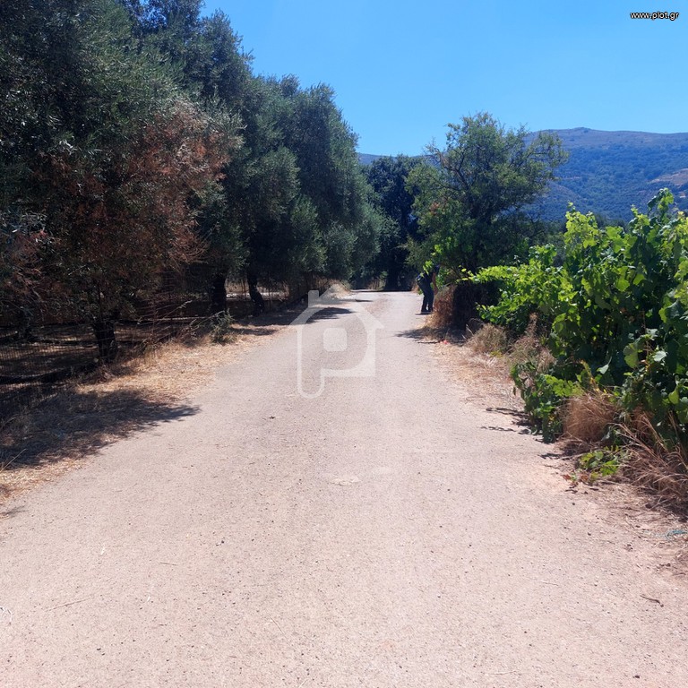 Οικόπεδο 260 τ.μ. προς πώληση, Άγιοι Απόστολοι Καντάνου
