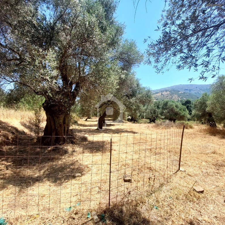 Οικόπεδο 1.700 τ.μ. προς πώληση, Άγιοι Απόστολοι Καντάνου