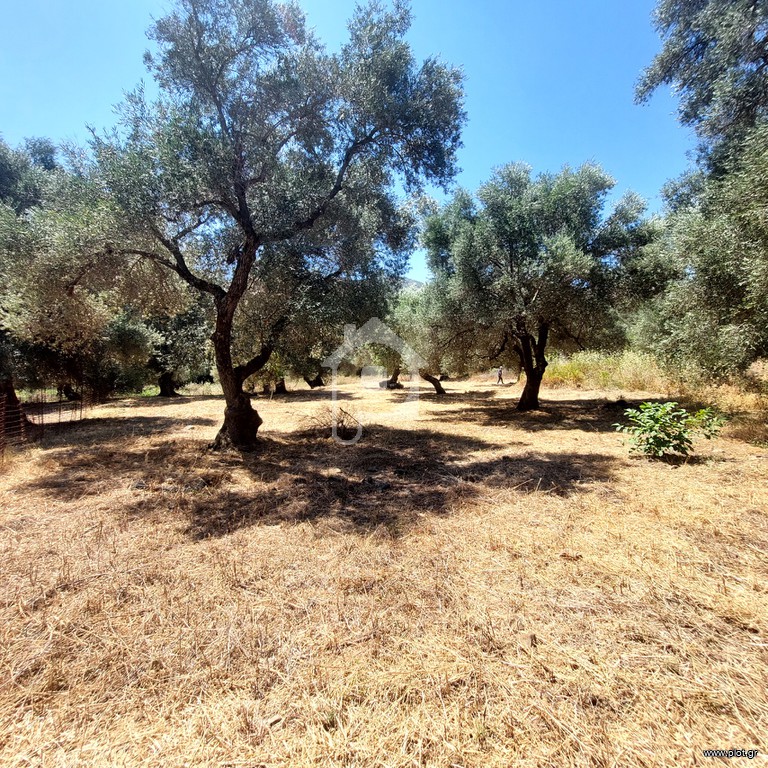 Οικόπεδο 1.700 τ.μ. προς πώληση, Άγιοι Απόστολοι Καντάνου