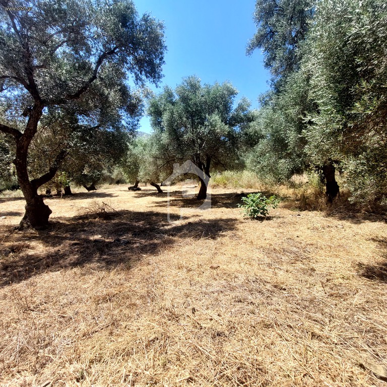 Οικόπεδο 1.700 τ.μ. προς πώληση, Άγιοι Απόστολοι Καντάνου