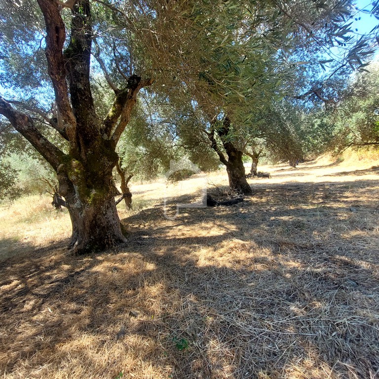 Οικόπεδο 1.700 τ.μ. προς πώληση, Άγιοι Απόστολοι Καντάνου