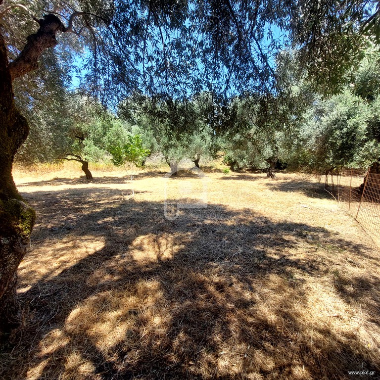Οικόπεδο 1.700 τ.μ. προς πώληση, Άγιοι Απόστολοι Καντάνου