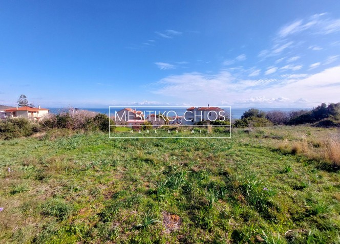 Αγροτεμάχια 263 τ.μ. προς πώληση, Άγιος Μηνάς Χίου